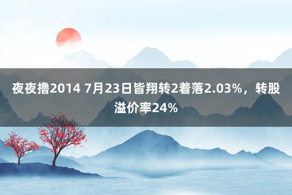 夜夜撸2014 7月23日皆翔转2着落2.03%，转股溢价率24%