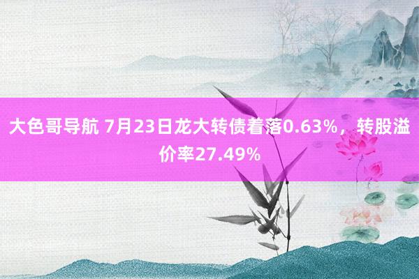 大色哥导航 7月23日龙大转债着落0.63%，转股溢价率27.49%