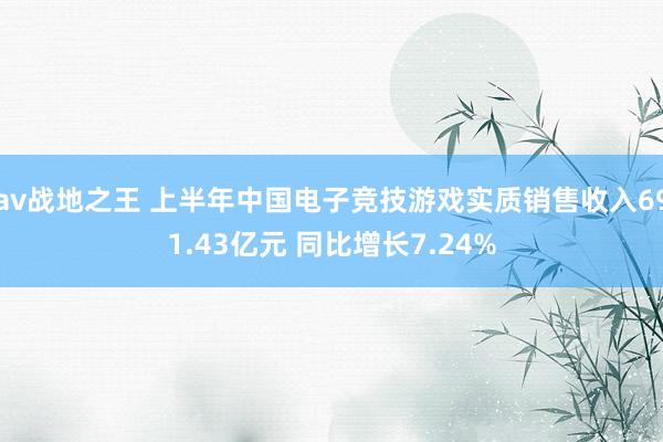 av战地之王 上半年中国电子竞技游戏实质销售收入691.43亿元 同比增长7.24%