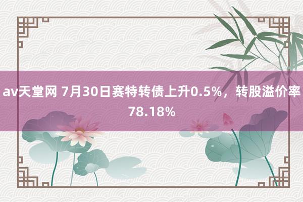 av天堂网 7月30日赛特转债上升0.5%，转股溢价率78.18%