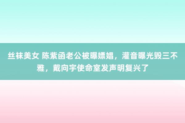 丝袜美女 陈紫函老公被曝嫖娼，灌音曝光毁三不雅，戴向宇使命室发声明复兴了