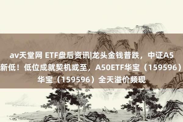 av天堂网 ETF盘后资讯|龙头金钱普跌，中证A50指数创6个月新低！低位成就契机或至，A50ETF华宝（159596）全天溢价频现