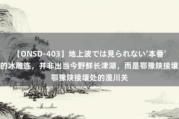 【ONSD-403】地上波では見られない‘本番’4時間 最早的冰雕连，并非出当今野鲜长津湖，而是鄂豫陕接壤处的漫川关