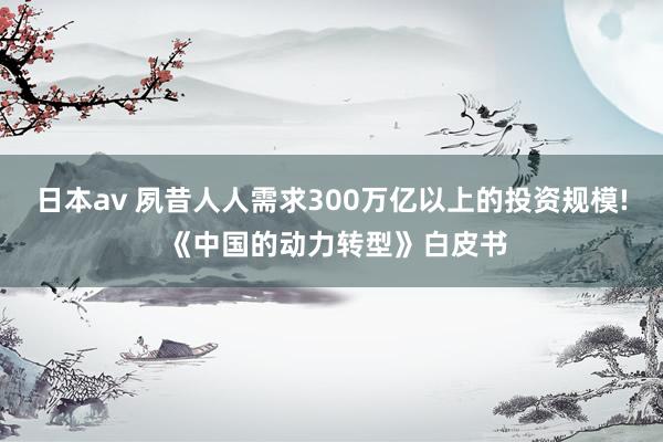 日本av 夙昔人人需求300万亿以上的投资规模! 《中国的动力转型》白皮书