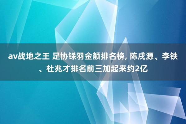 av战地之王 足协铩羽金额排名榜， 陈戌源、李铁、杜兆才排名前三加起来约2亿