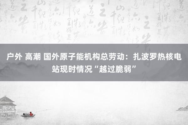 户外 高潮 国外原子能机构总劳动：扎波罗热核电站现时情况“越过脆弱”