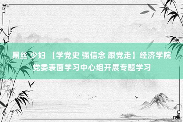 黑丝 少妇 【学党史 强信念 跟党走】经济学院党委表面学习中心组开展专题学习