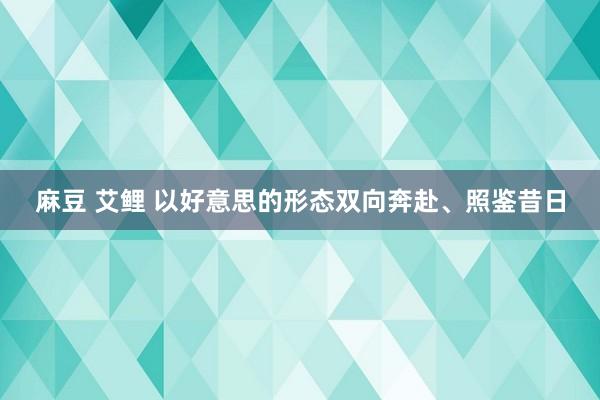 麻豆 艾鲤 以好意思的形态双向奔赴、照鉴昔日